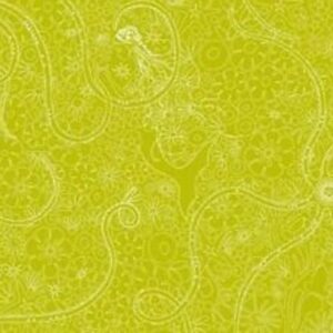 Makower Alison Glass Bright Fabric Art Theory Sun prints Circle Panels FQ & 1/2m