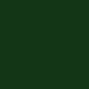 Makower Spectrum 100% cotton Fabric Plain bright colours quilting weight FQ 1/2m